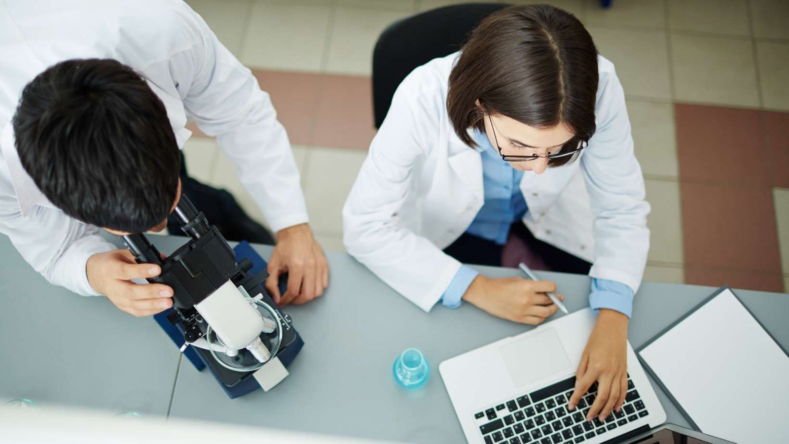 Células madre y alopecia