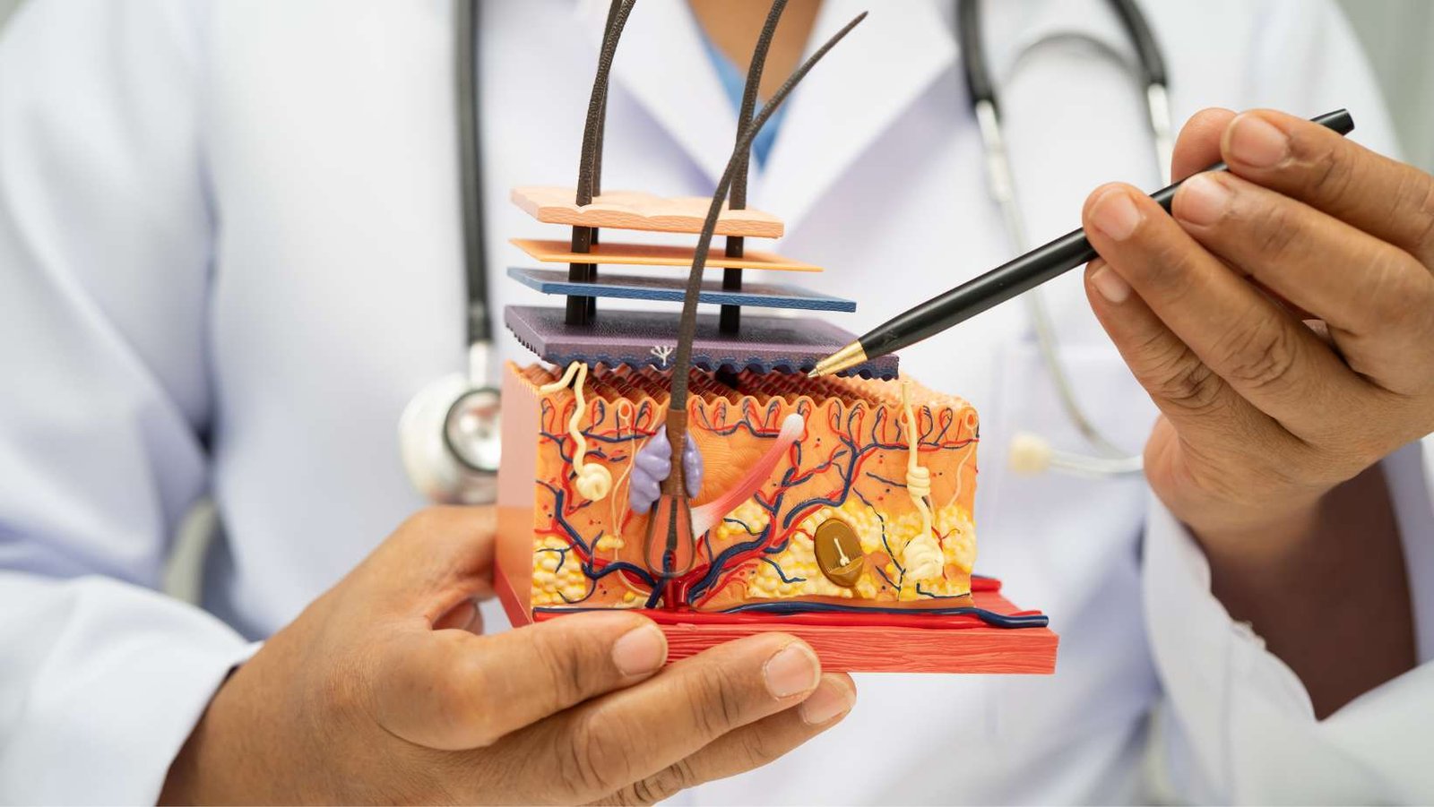 Cerámica de circonio: Tecnología exclusiva de Dr. Panno